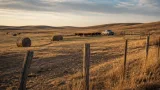Central Plains drought forces heavier culling, leaves pastures at historic lows in parts of Nebraska