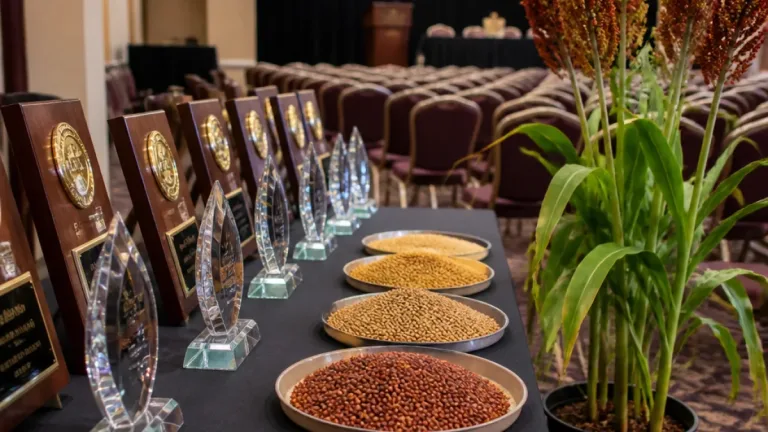 Sorghum researchers Scott and Brent Bean honored for industry contributions